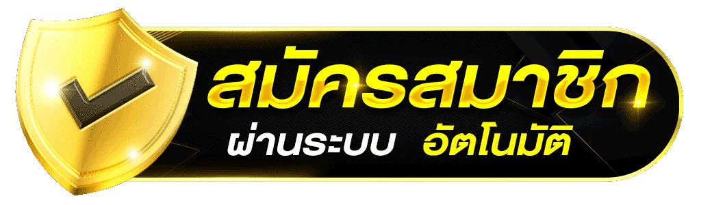 สมัครสมาชิก ออโต้ Vk789bet